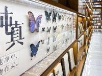 图集 | 闹市之下的静谧——璞玉书店
