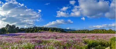 “免费游昆明”暖心福利上线，快来领取！