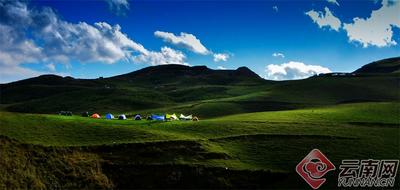 早安云南 | 黑巴草场，最接近天空的南国草原