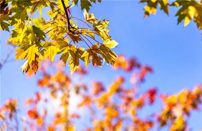 来弥勒这个湿地公园，打卡“限定版”油画世界！