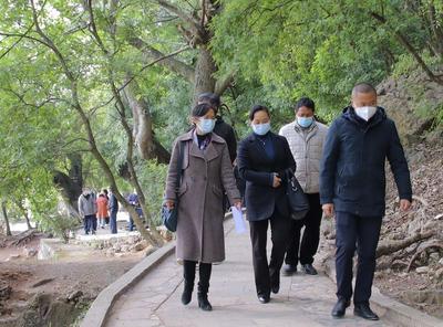 玉溪市文化和旅游局督查澄江禄充景区复核整改工作