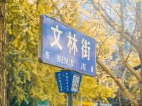 图集 | 银杏衬托下的文林街