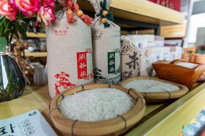 C位出“稻”：开远卧龙米香飘四方