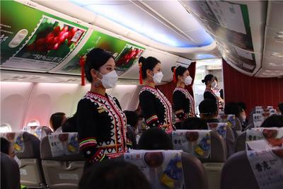 普洱文旅携手祥鹏航空 邀您共赴暖冬之旅