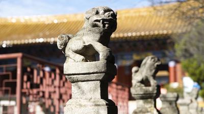 视频 | 昆明文庙泮池——石柱上的狮雕