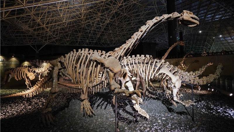 图集 | 楚雄恐龙谷遗址公园 探寻侏罗纪的秘密