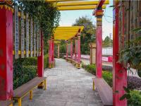 图集 | 楚雄紫溪彝村 感受彝家风情