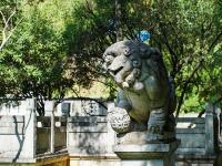 图集 | 昆明唐继尧墓