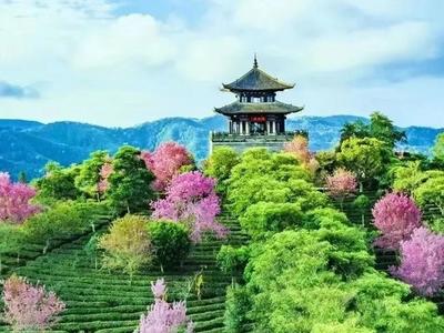 《墨江》二等奖，《思茅》三等奖！
