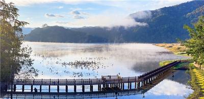 暖冬游普洱丨勐梭龙潭“蜻”投意合