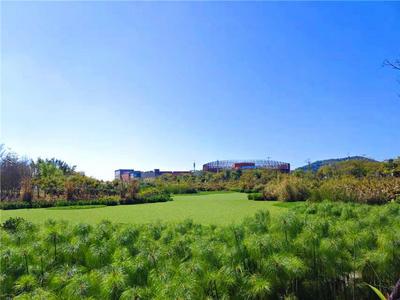 【暖冬游普洱】普洱绿色经济主题公园美景如画