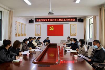 玉溪市文化和旅游局督查澄江禄充景区复核整改工作
