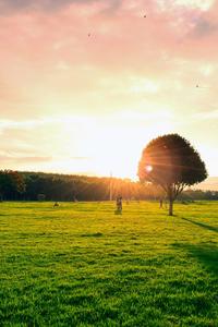 2023年来喽！春夏秋冬，总有一个季节让你爱上开远......