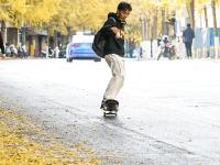 图集 | 银杏衬托下的文林街