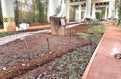 期待！明年3月底昆明再添一条绿道