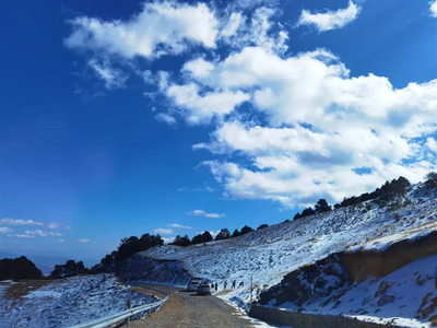 鹤庆：半城红樱一山雪，最是冬日醉人处