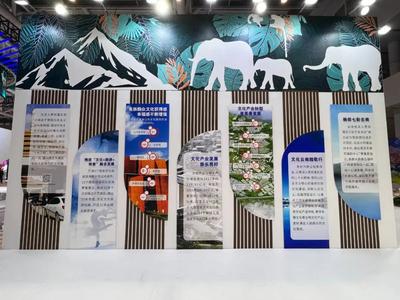 第十八届文博会开幕，云南展区精彩亮相！