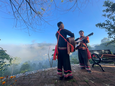 普洱有“大咖”！首届普洱高山咖啡采摘节带你领略别样精彩