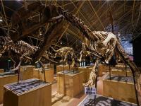 图集 | 楚雄恐龙谷遗址公园 探寻侏罗纪的秘密