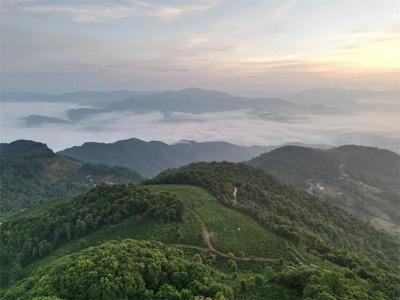 元旦来普洱看一次云海吧！