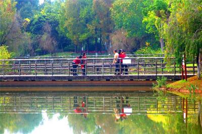 【暖冬游普洱】普洱绿色经济主题公园美景如画