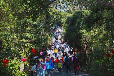 奋进的春天 | 236.93万人次！春节旅游人气旺、年味浓，游客表示“明年还要来普洱过年”