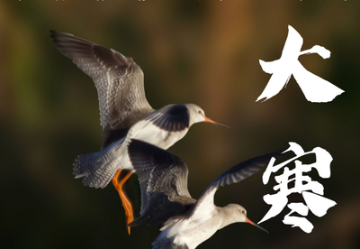 大寒 | 红河文旅期待与你在下一个四季相遇