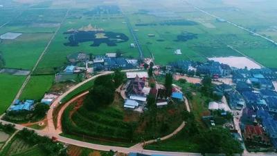 1月20日相约勐海县勐遮镇“渔乐节”！感受摸鱼、赶摆、民族汇演的文化盛宴