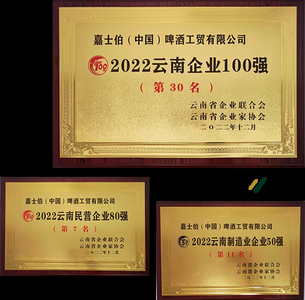 喜报！嘉士伯工贸上榜云南企业百强