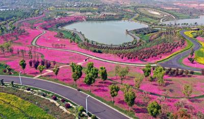 文旅局长变身“推荐官”！你的旅行清单是不是立马增加了弥勒？