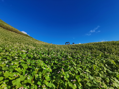 喜讯！临沧凤庆县勐佑镇项目成功入选2022 世界旅游联盟旅游助力乡村振兴案例