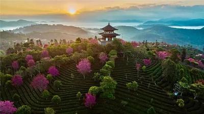 春节·“慢”游普洱丨新春景区惠玩攻略“出炉”