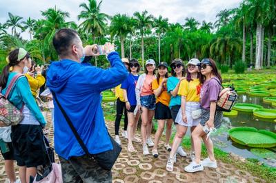 丰富产品点燃文旅“消费热” 西双版纳州元旦假期预计接待游客51.01万人次