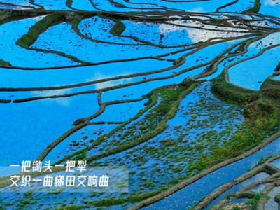 2023去世界花园，跟着影视作品游云南！