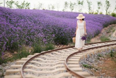 文旅局长变身“推荐官”！你的旅行清单是不是立马增加了弥勒？