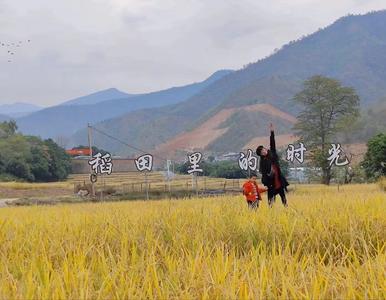 玉溪新春年味浓 乡村旅游迎热潮