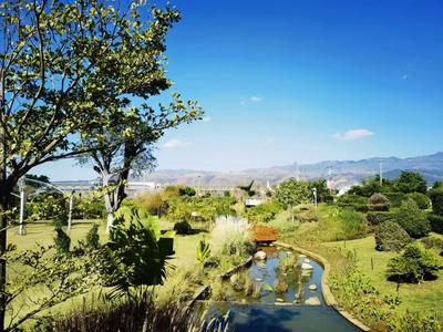 冬天到开远避寒，太安逸了！