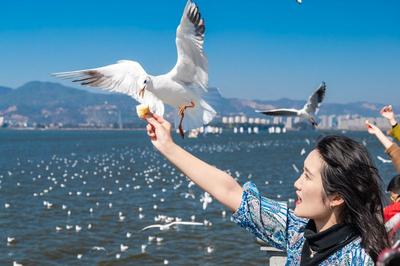 图集｜在昆明，感受粉与白的浪漫“花事”