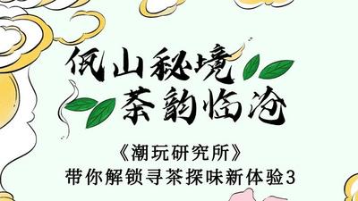 解锁临沧茶旅新玩法！佤山秘境，茶韵临沧｜《潮玩研究所》