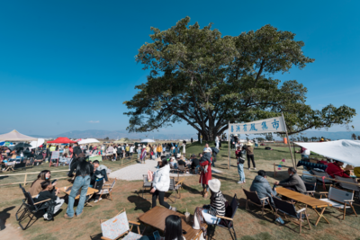 【有一种生活叫大理】“喜洲稻田有风集市”今日开市啦！