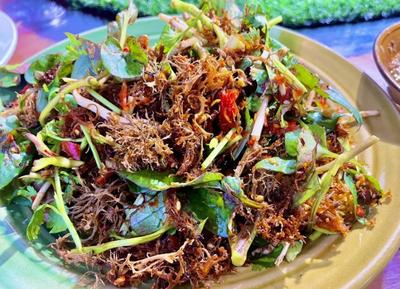 乐游玉溪丨浪漫吃花季，感受舌尖上的“花花世界”