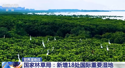 我国湿地保护取得明显成效