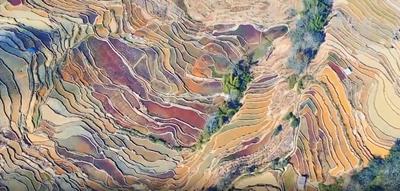 看！最佳观赏期的哈尼梯田有多美