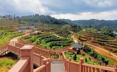 临沧这个景区登上央视《新闻联播》