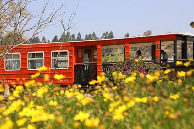 建水、开远、石屏米轨列车火爆 春节接待量创运营以来新高 