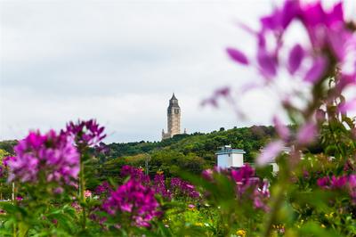 寻乡愁，到仁者