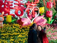 图集｜郁金香飘翠湖美 满是笑脸春来到