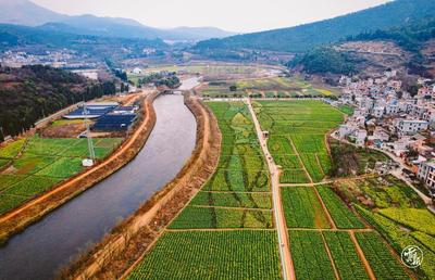 奋进的春天 | 金色螳川：春日“赏花经济”热