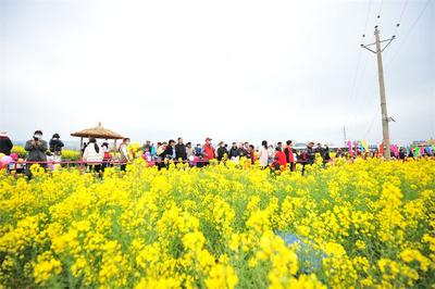 这场南华花事完美谢幕：全网曝光量超3012万