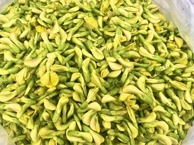 乐游玉溪丨浪漫吃花季，感受舌尖上的“花花世界”